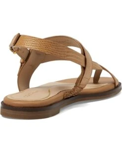 Cole Haan Anica Lux Buckle Sandals -Mode Shoe Shop 6164S3TjEL. AC SR736920