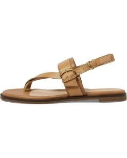 Cole Haan Anica Lux Buckle Sandals -Mode Shoe Shop 61mMFmZbOGL. AC SR736920