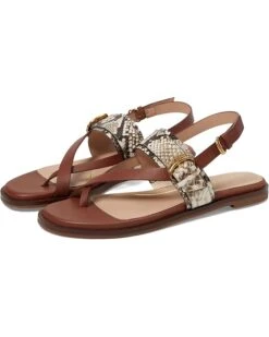 Cole Haan Anica Lux Buckle Sandals -Mode Shoe Shop 71AJXesRVWL. AC SR736920