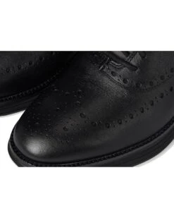 Cole Haan Original Grand Ultra Wingtip Oxford | Oxfords 17 Cole Haan Original Grand Ultra Wingtip Oxford | Oxfords -Mode Shoe Shop 81ciVItxpBL. AC SR736920
